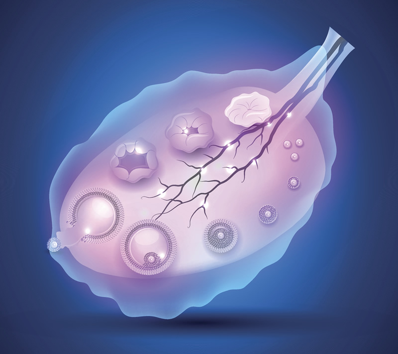 试管移植前做探宫检查好处多(揭秘探宫检查的最佳时间)